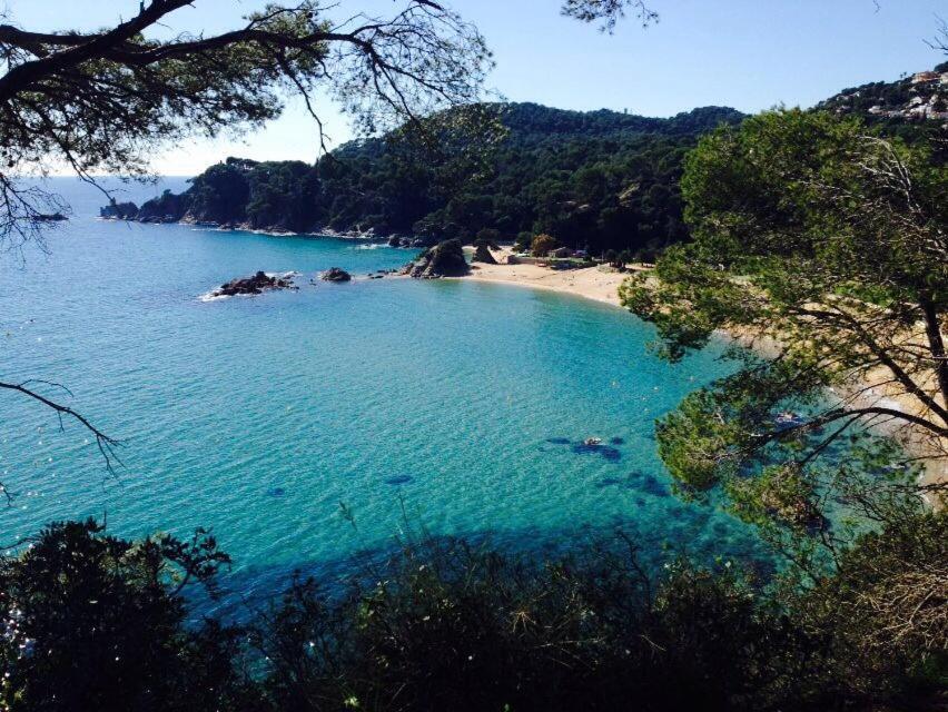 Appartements Les Pesquiers Hyeres Plage Ngoại thất bức ảnh